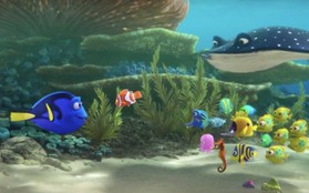 Fan sôi sục tái ngộ bộ ba Dory, Nemo, Marlin trong trailer của “Finding Dory”